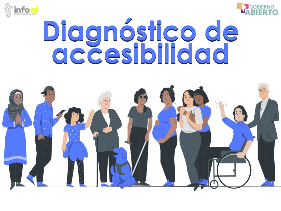 Diagnóstico de Accesibilidad